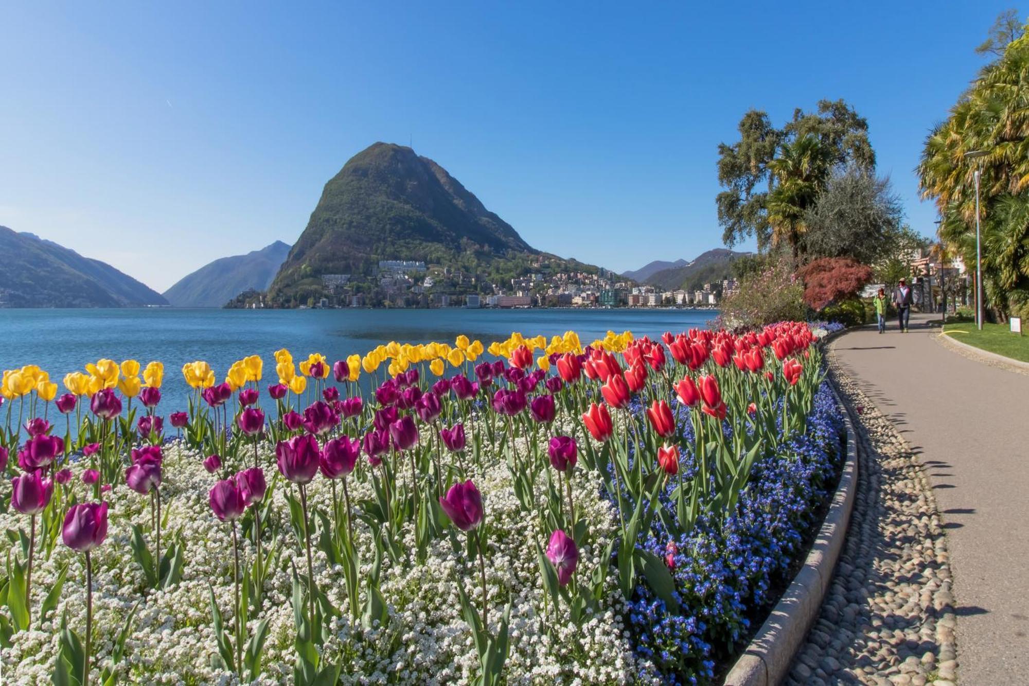 Ca' Gina Panoramica Lägenhet Lugano Exteriör bild